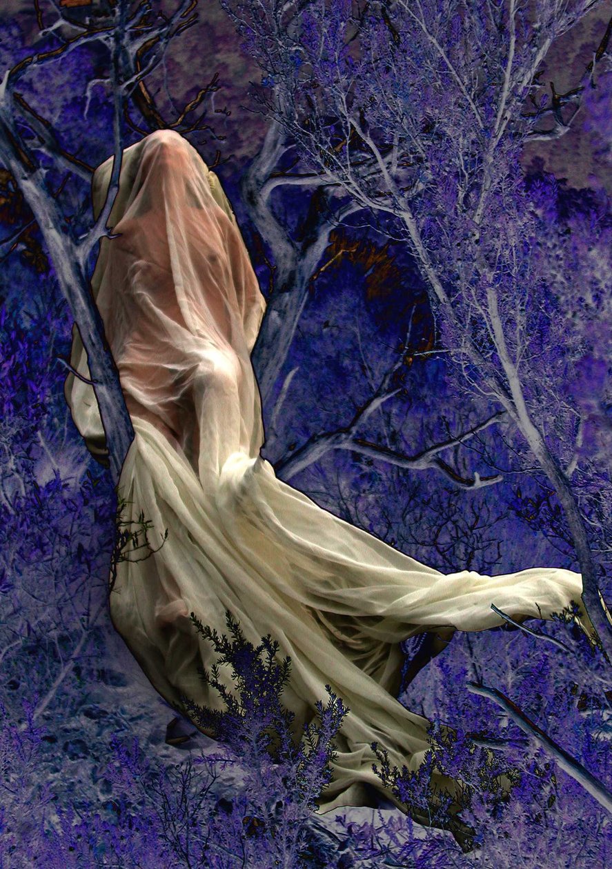 Poetry by Joseph Angilella Auquier