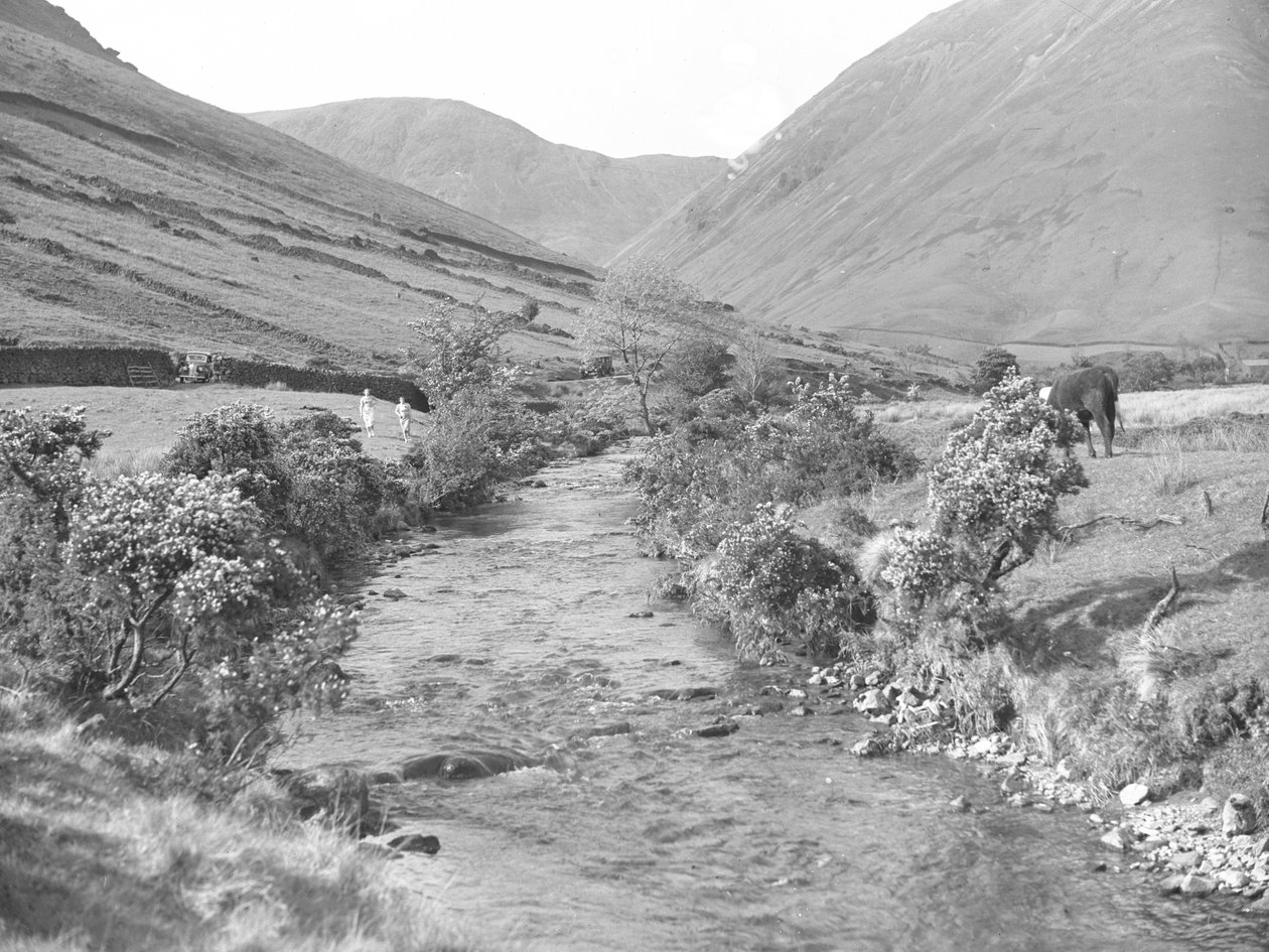 A stream running through Wastwater landscape by Joseph Hardman