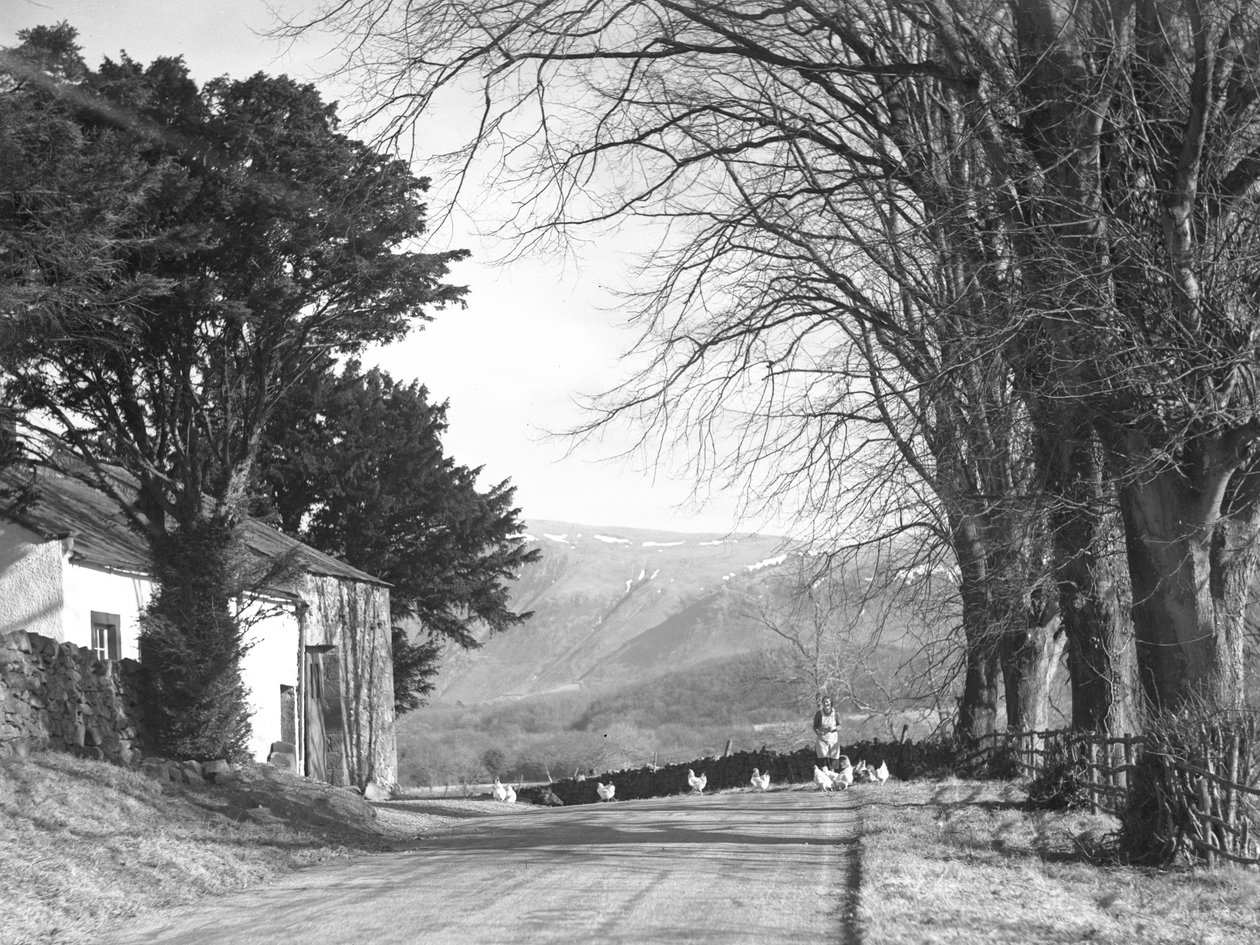 A woman on a lane with chickens, buildings to the left and hills in background by Joseph Hardman