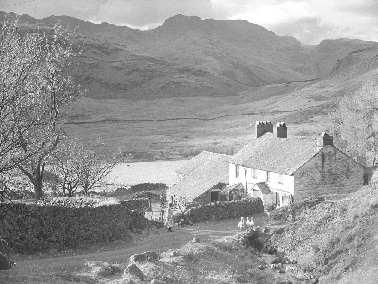 Farm with woman and dogs watching ducks and farm buildings behind by Joseph Hardman