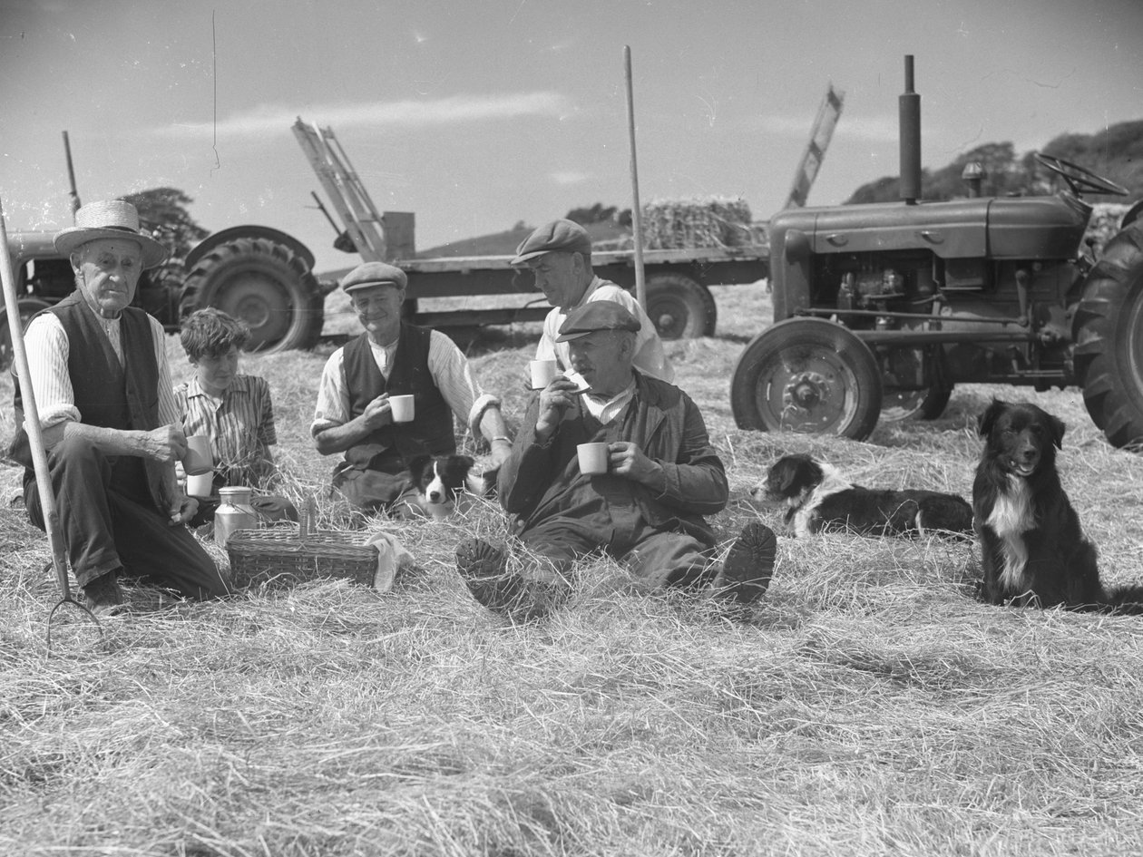 Farmworkers relaxing in hayfield with dogs and tractors in background by Joseph Hardman