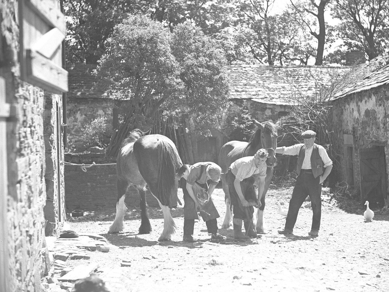 Farrier Shoeing Horse by Joseph Hardman