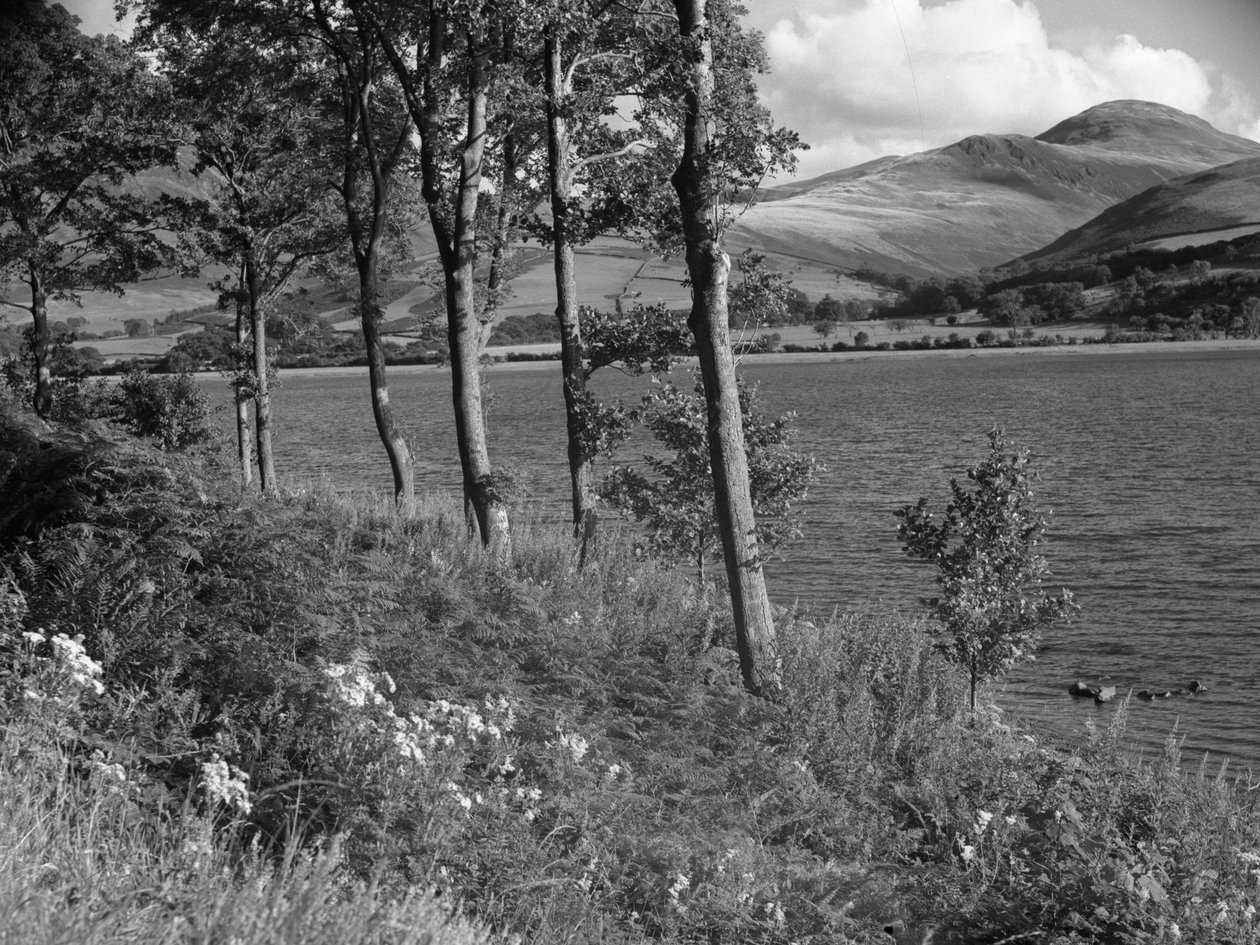 The edge of a lake met by woodland, hills in the background by Joseph Hardman