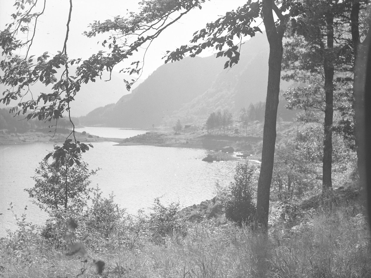 Thirlmere through tree branches by Joseph Hardman