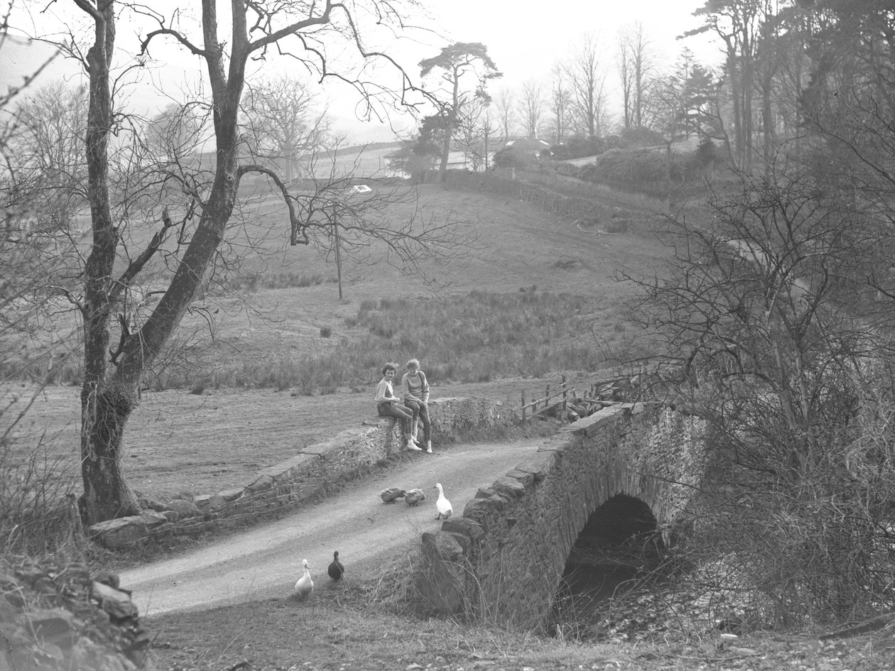 Two girls sitting on a stone bridge over the river Cocker at the bottom of Scale Hill, watching geese in the lane at Loweswater by Joseph Hardman