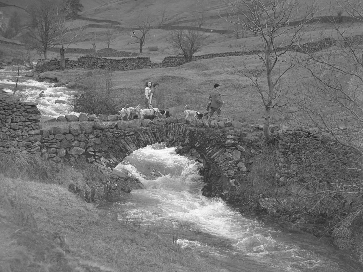 Two women and a man walk over a bridge with hounds at their feet by Joseph Hardman