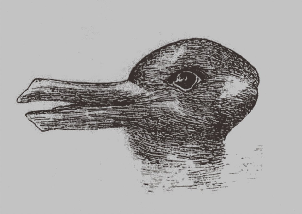 Duck-Rabbit Illusion. From: Jastrow, J. The Mind