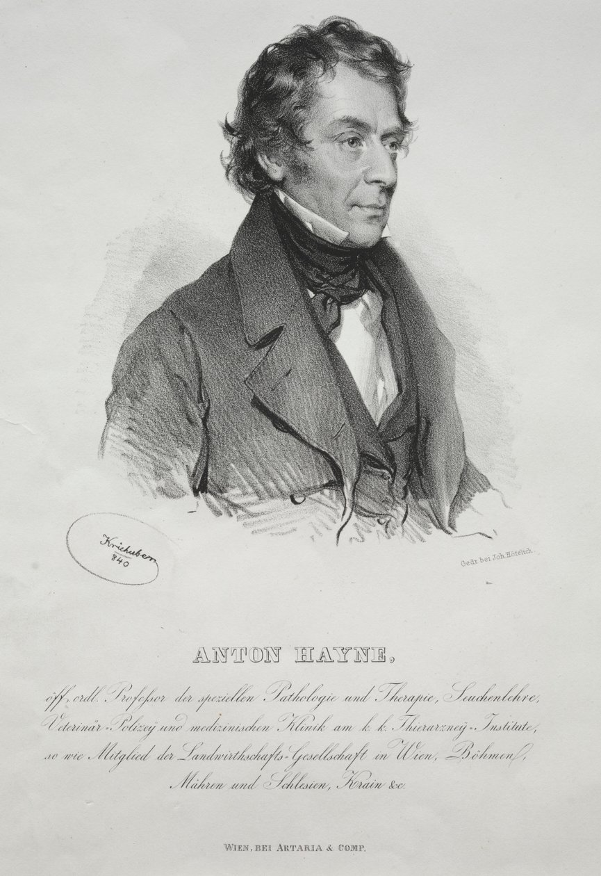 Portrait of Dr. Anton Hayne, 1840 by Joseph Kriehuber