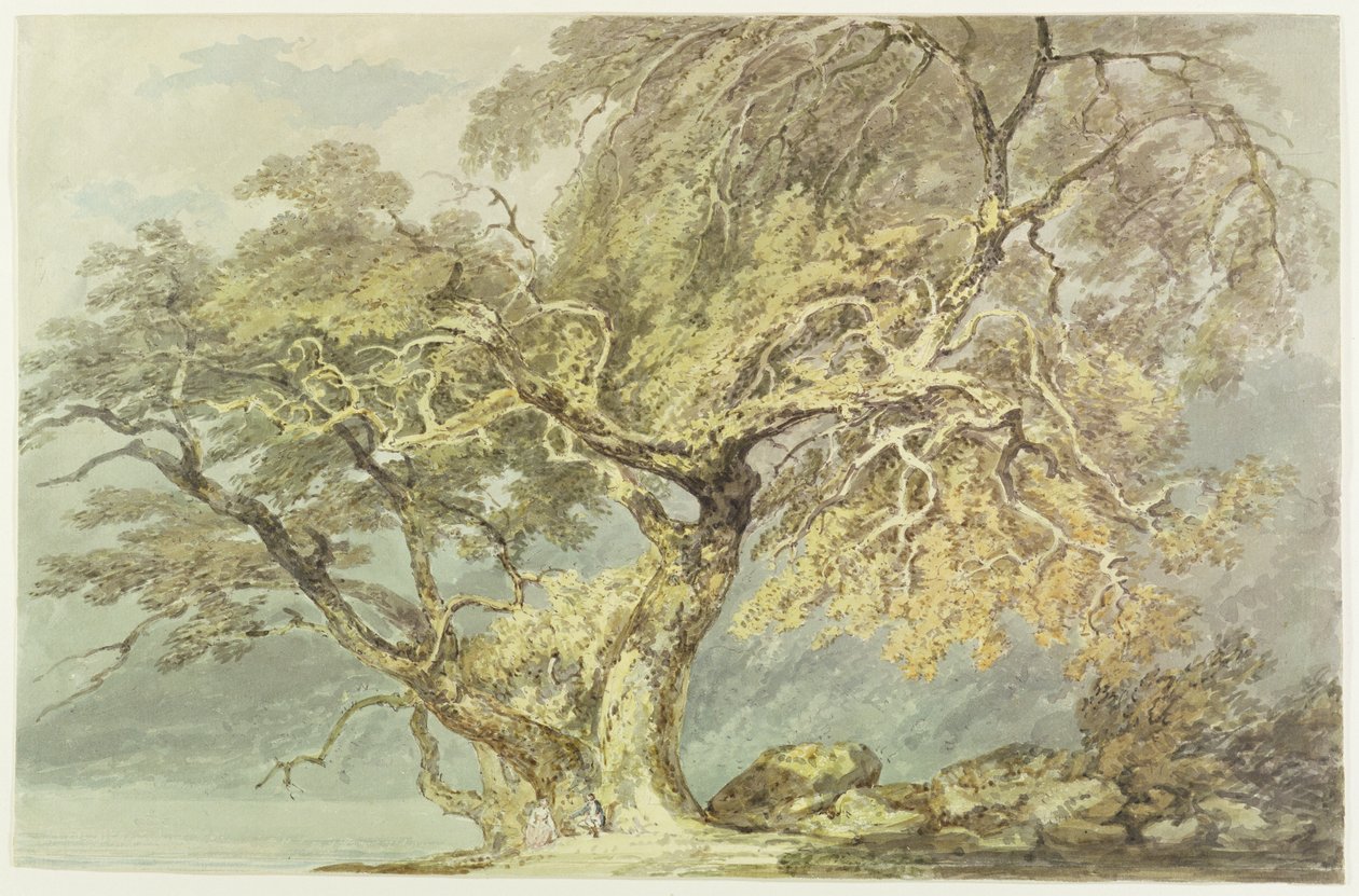 A Great Tree, c.1796 by Joseph Mallord William Turner