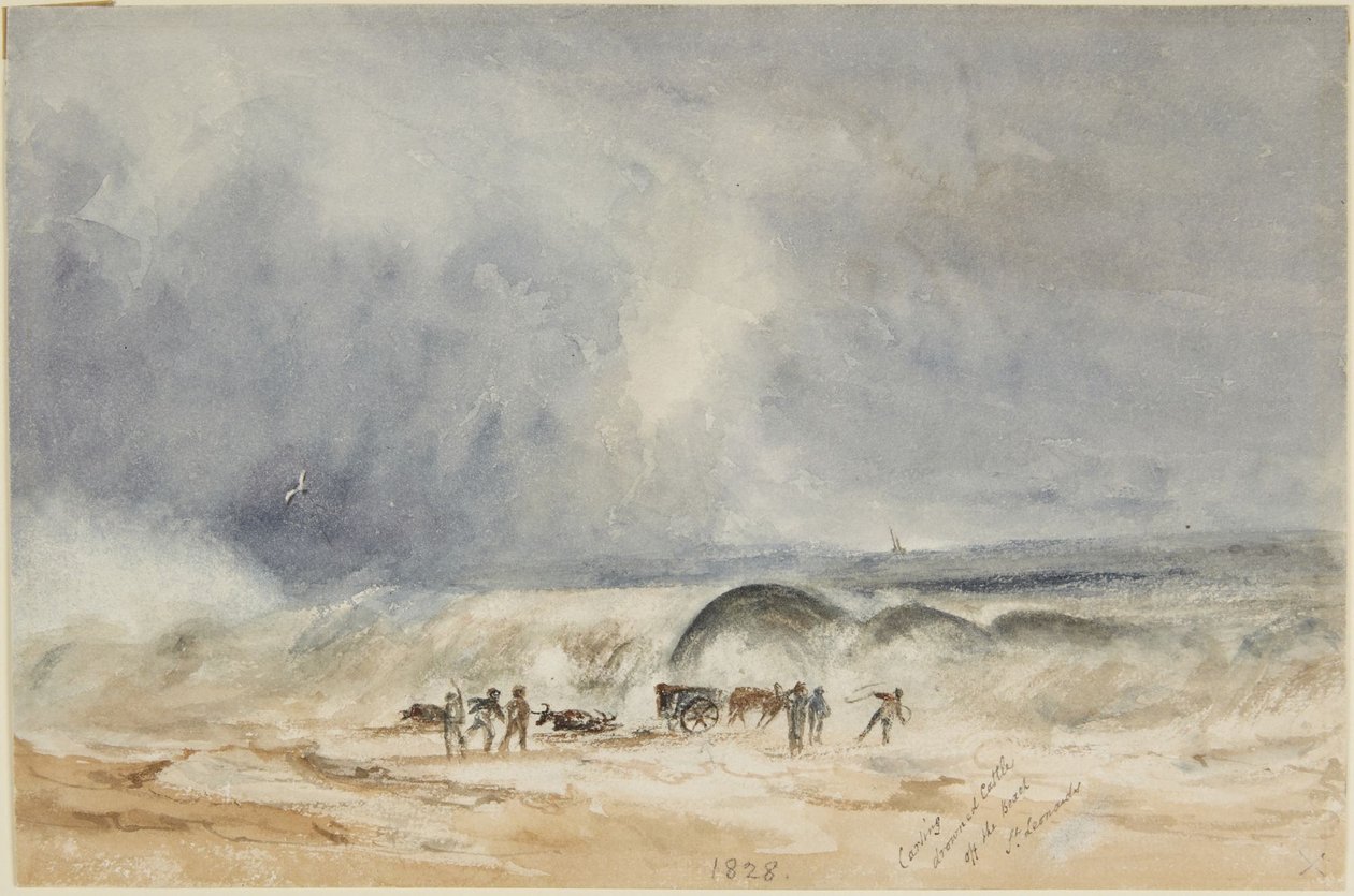 Carting Drowned Cattle off the Beach, St. Leonards by Joseph Mallord William Turner