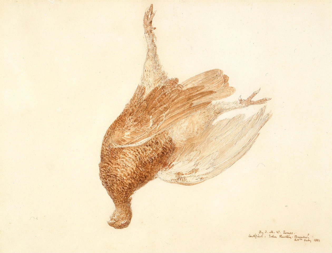 Dead Grouse by Joseph Mallord William Turner