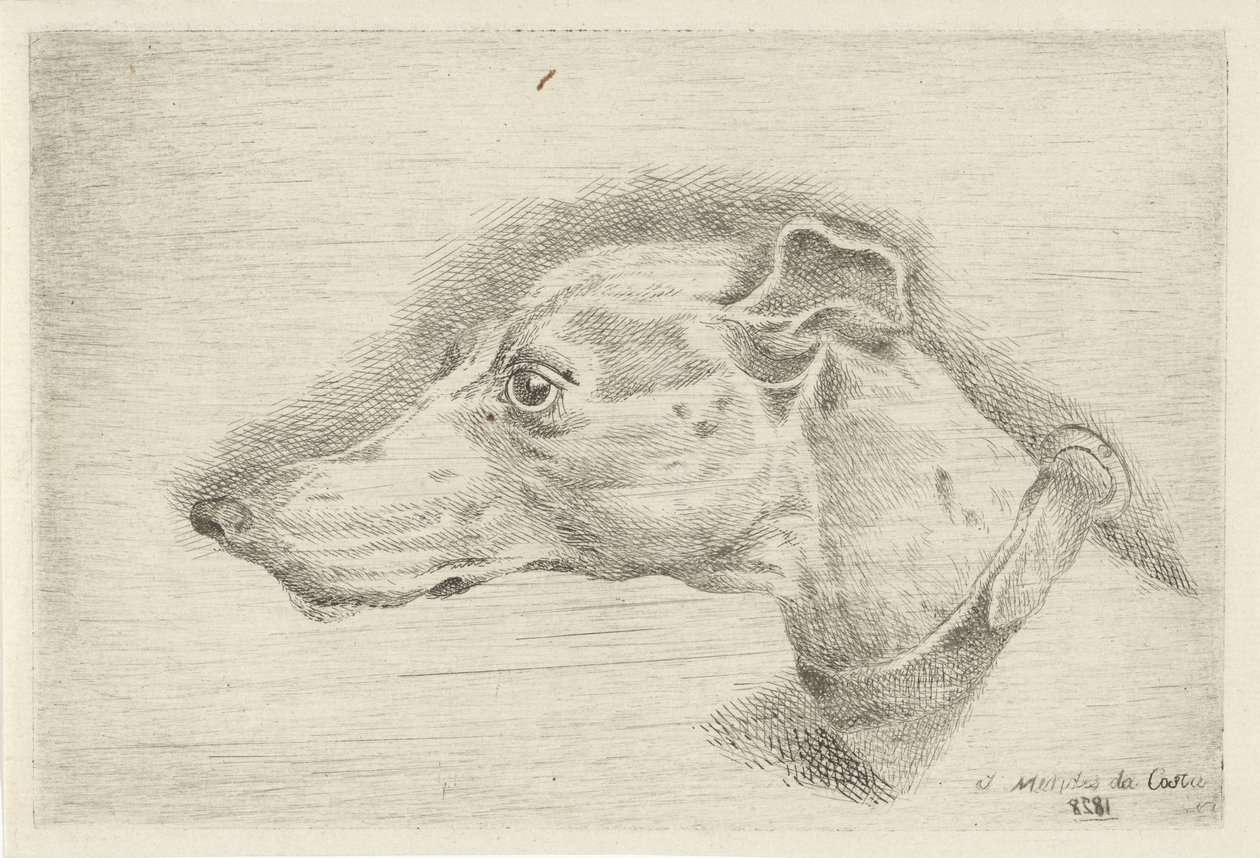 Head of a Greyhound by Joseph Mendes da Costa