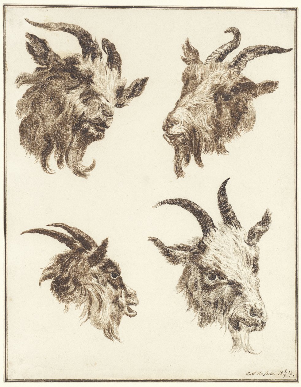 Four Studies of Goat Heads by Joseph Mendes da Costa