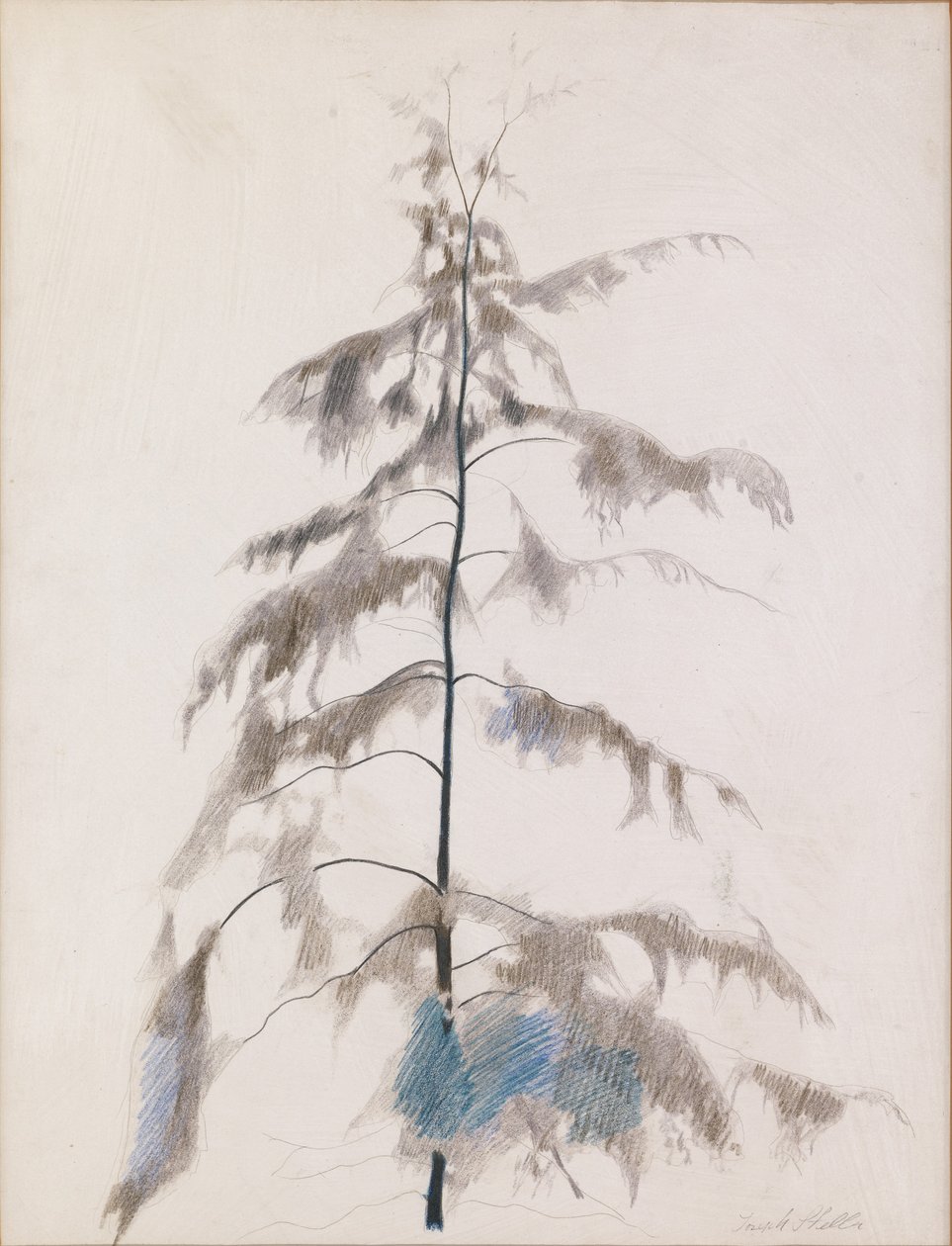 Pine Tree by Joseph Stella