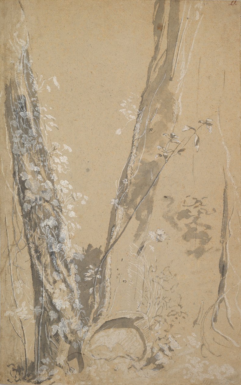 Study of Overgrown Trees, Verso: Study of a Cypress and Two Overgrown Trees by Joseph Werner