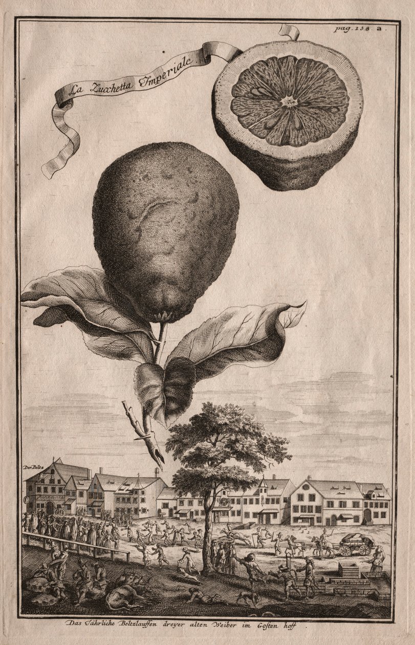 Nurnbergische Hesperides: La Luchetta Imoperiale by Joseph de Montalegre