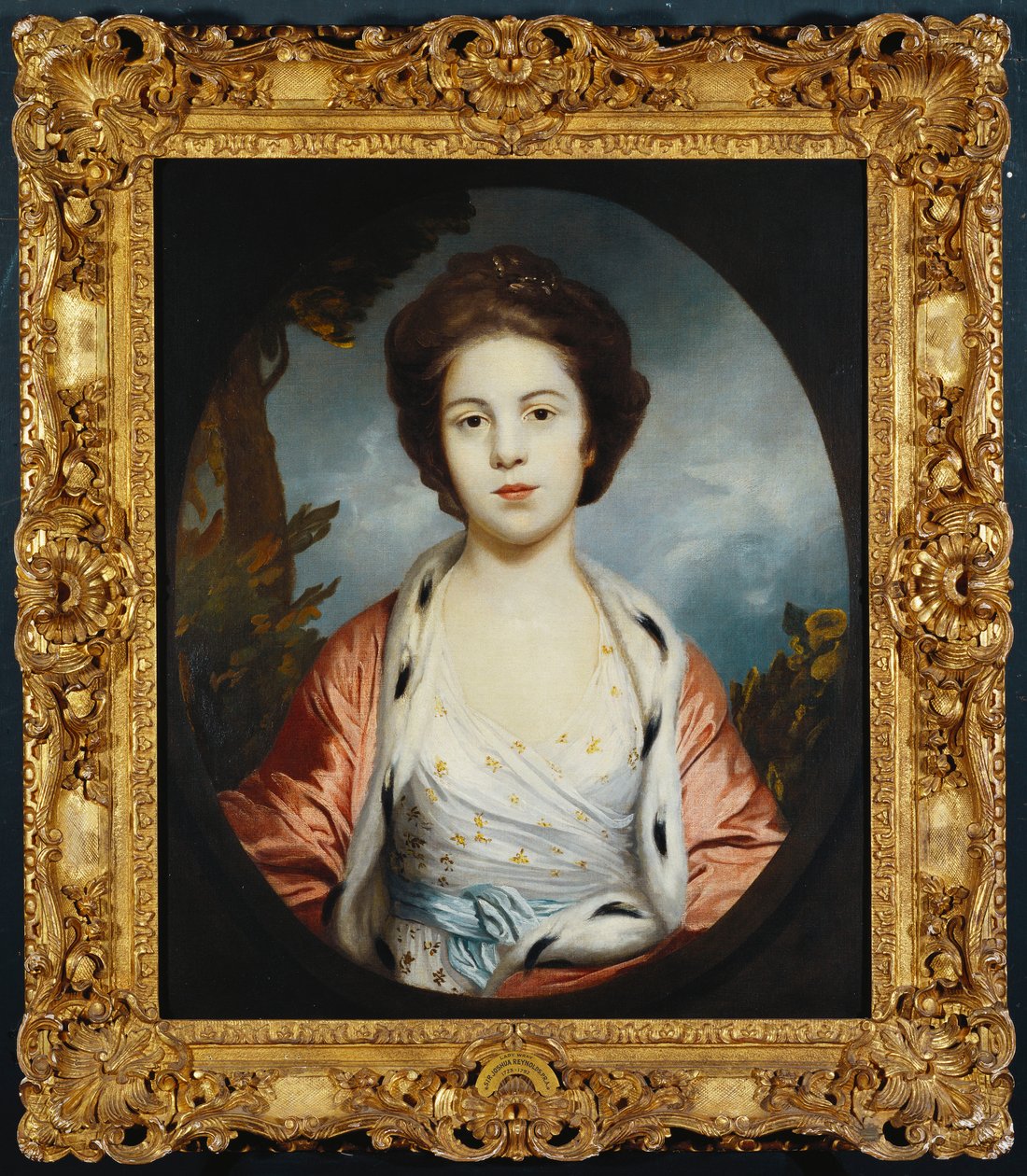 Portrait of Esther, Lady Wray, Wearing a White Dress, a Gold and Pink Ermine-Lined Cloak, a Landscape Beyond by Joshua Reynolds