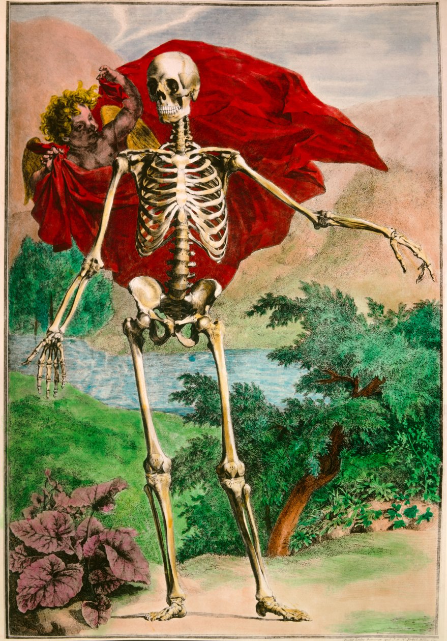 The Skeleton and Love by Josse Photo