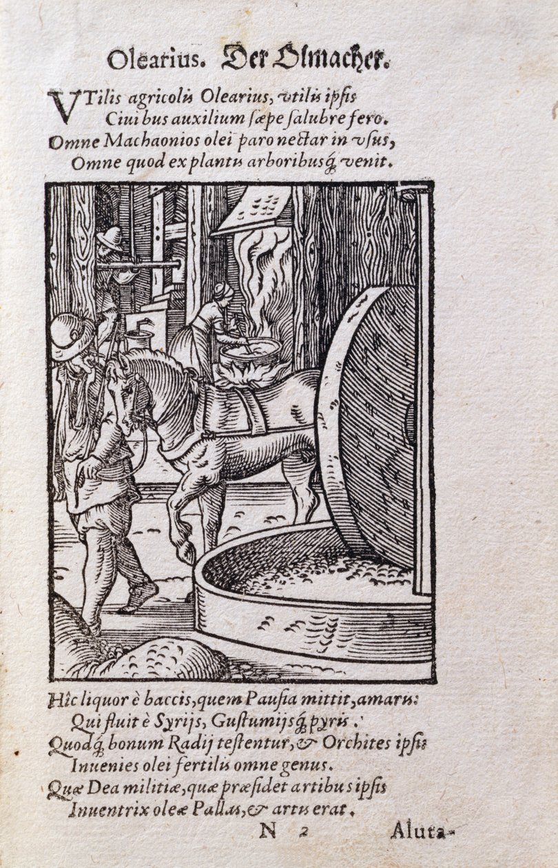 Oil Maker, illustration from the Latin edition of 