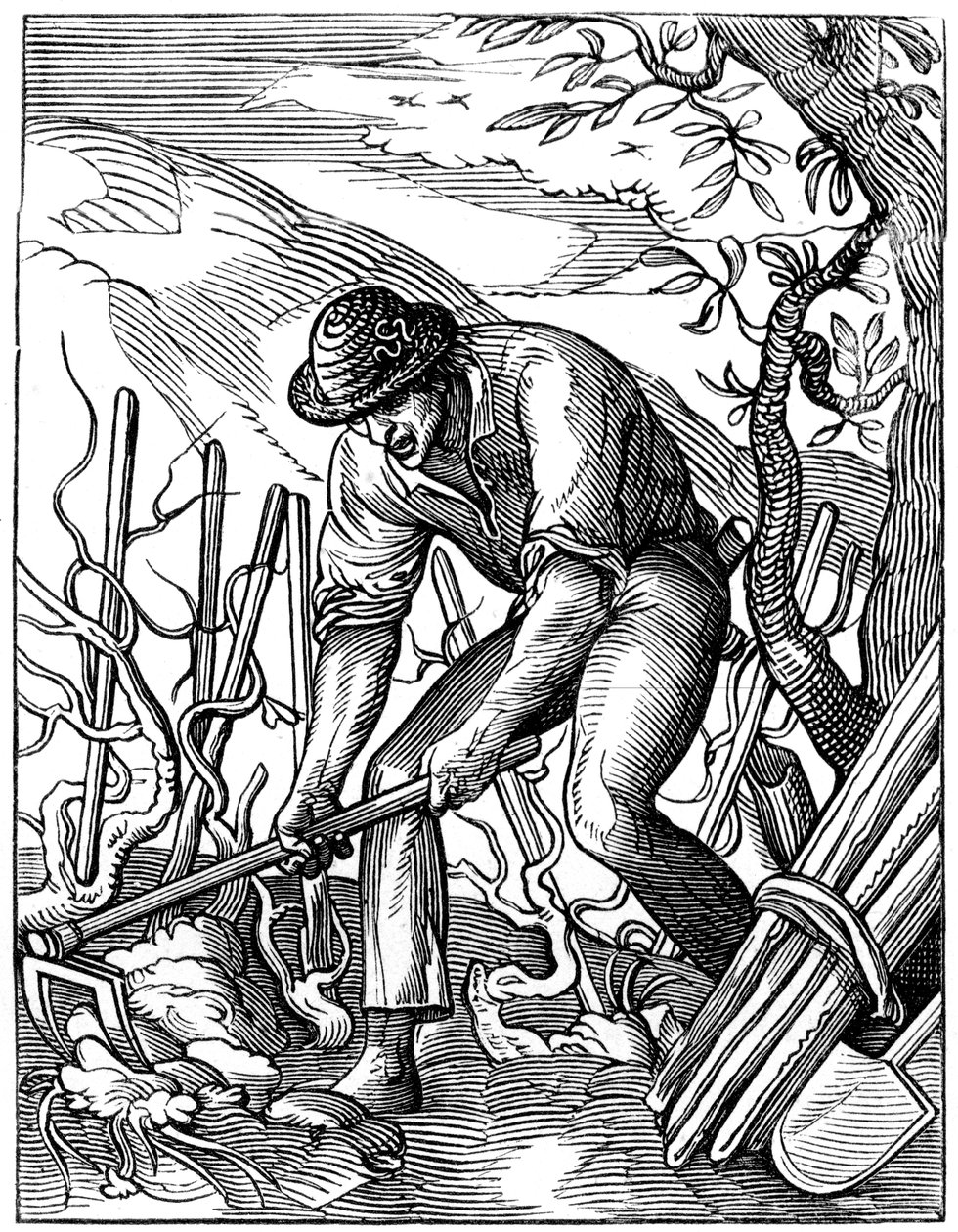 Winemaker, 16th century, 1849 by Jost Amman