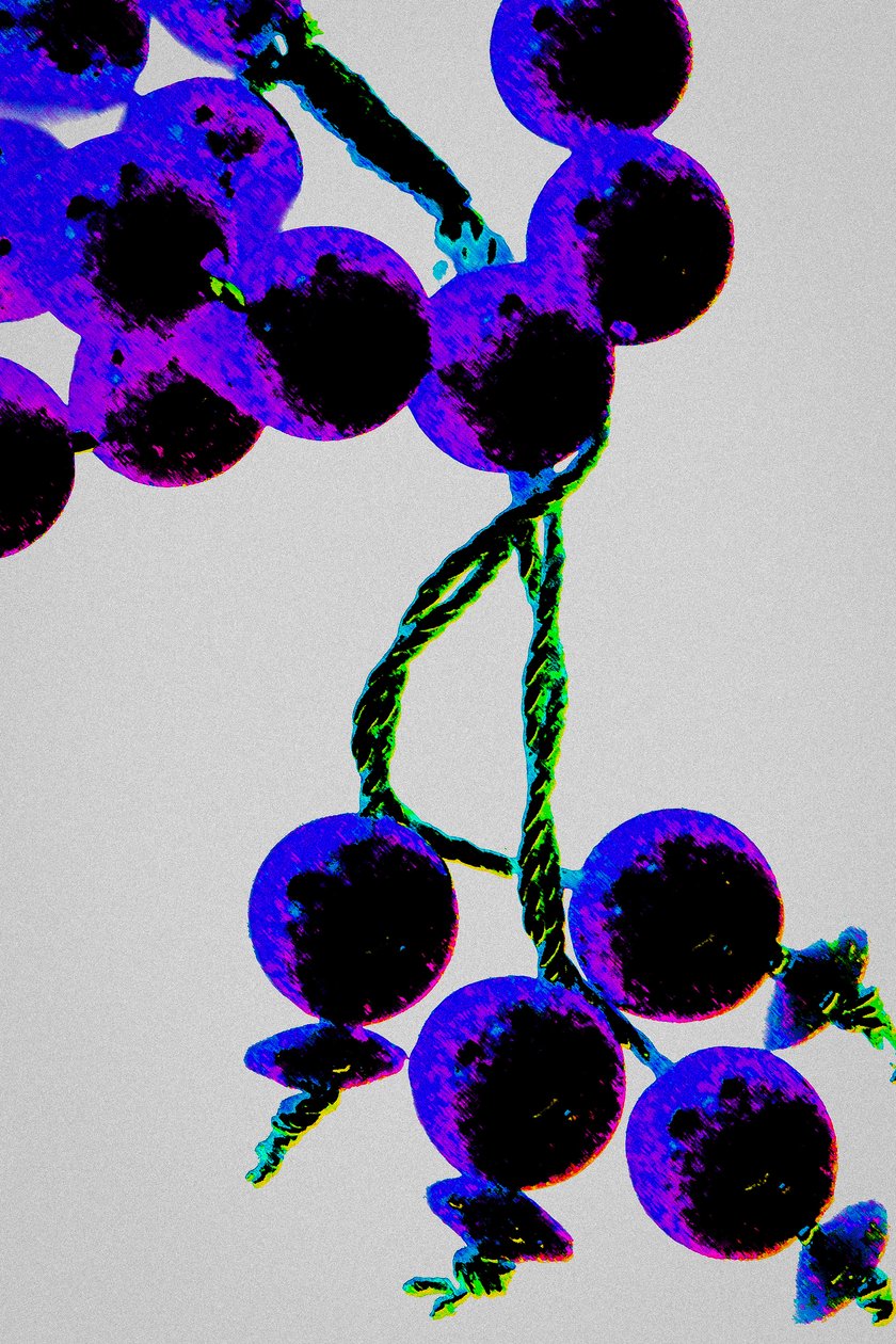Purple Prayer Beads, from the series Misbaha by Joy Lions