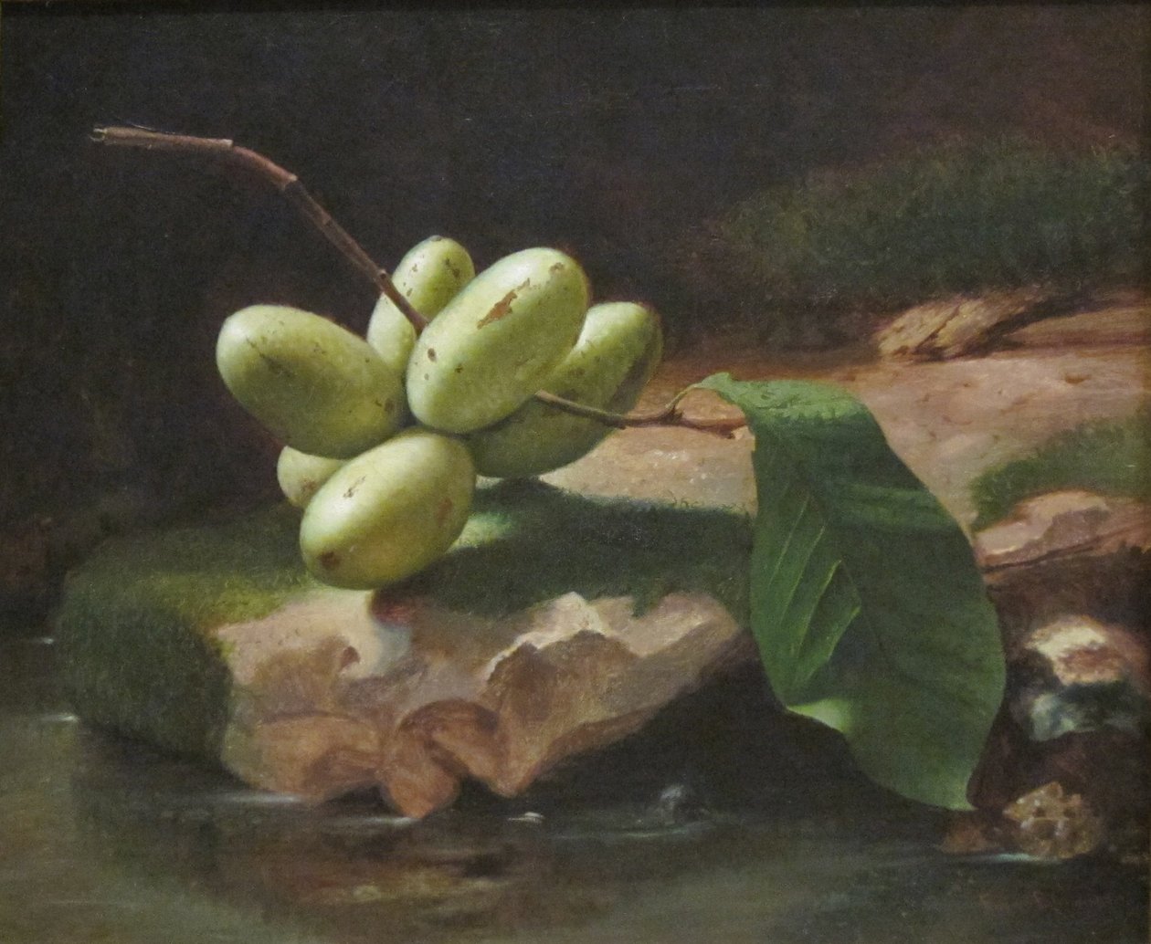 Still-Life with Paw Paws by Jr. Edward Edmondson