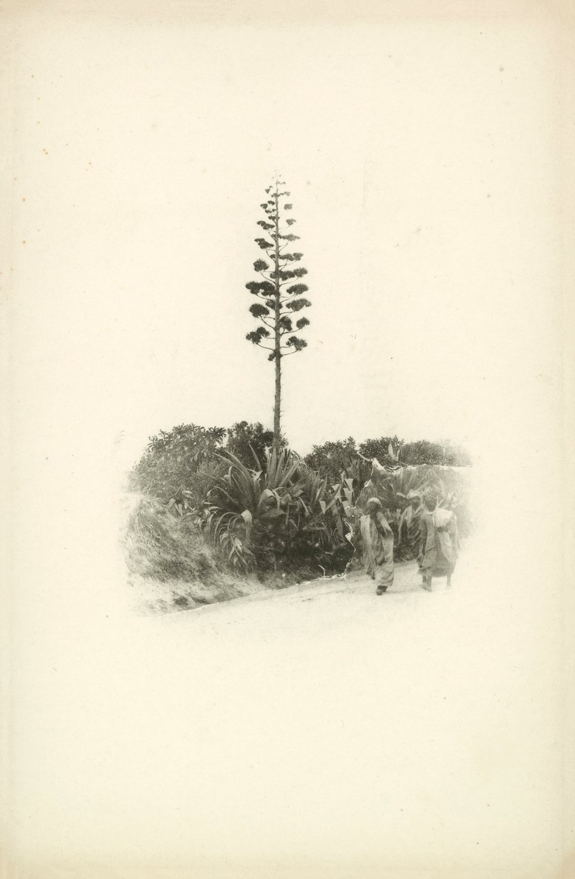 One of Jules Gervais-Courtellemont