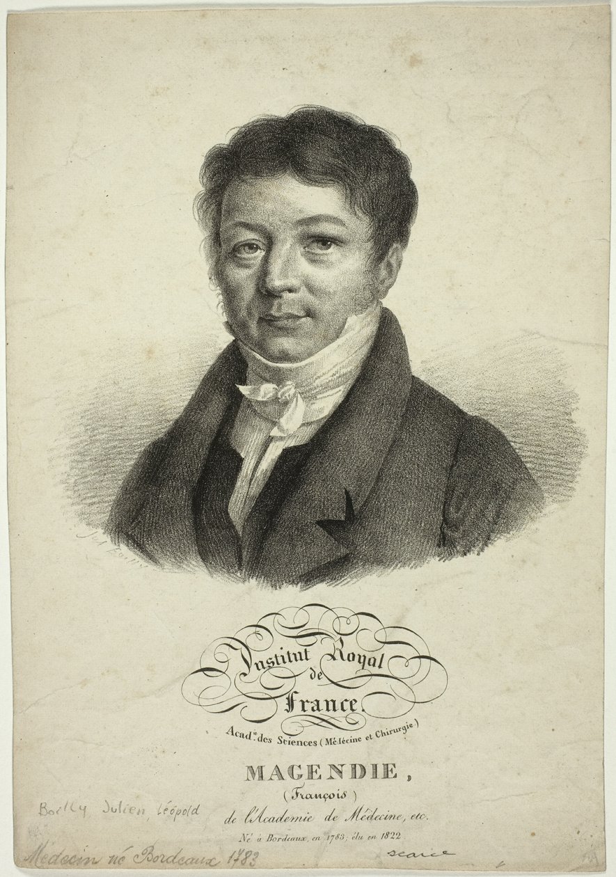 Portrait of François Magendie by Jules Boilly
