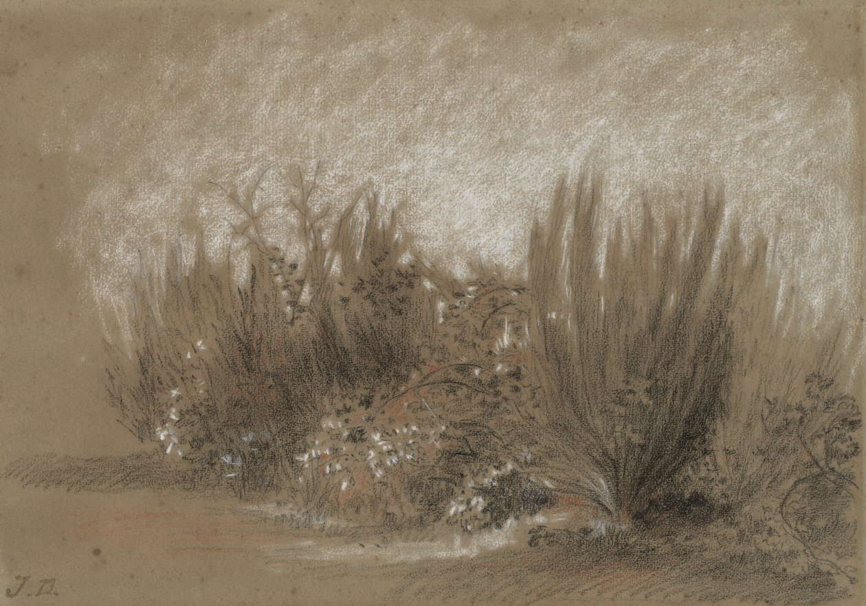 Broom and Brambles by Jules Dupré