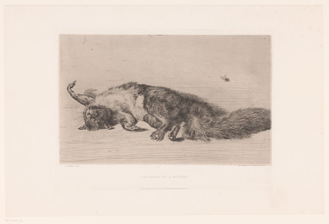 Dead Squirrel and Fly by Jules Ferdinand Jacquemart