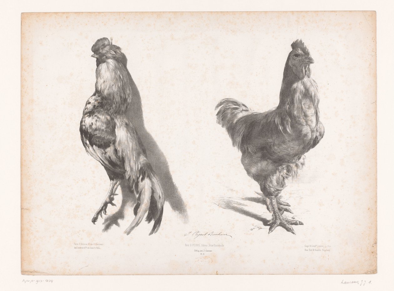 Study of a Dead and a Live Chicken by Jules Joseph Augustin Laurens