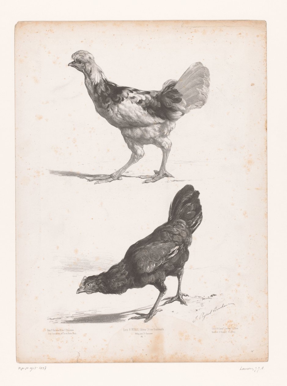 Study of Two Chickens by Jules Joseph Augustin Laurens