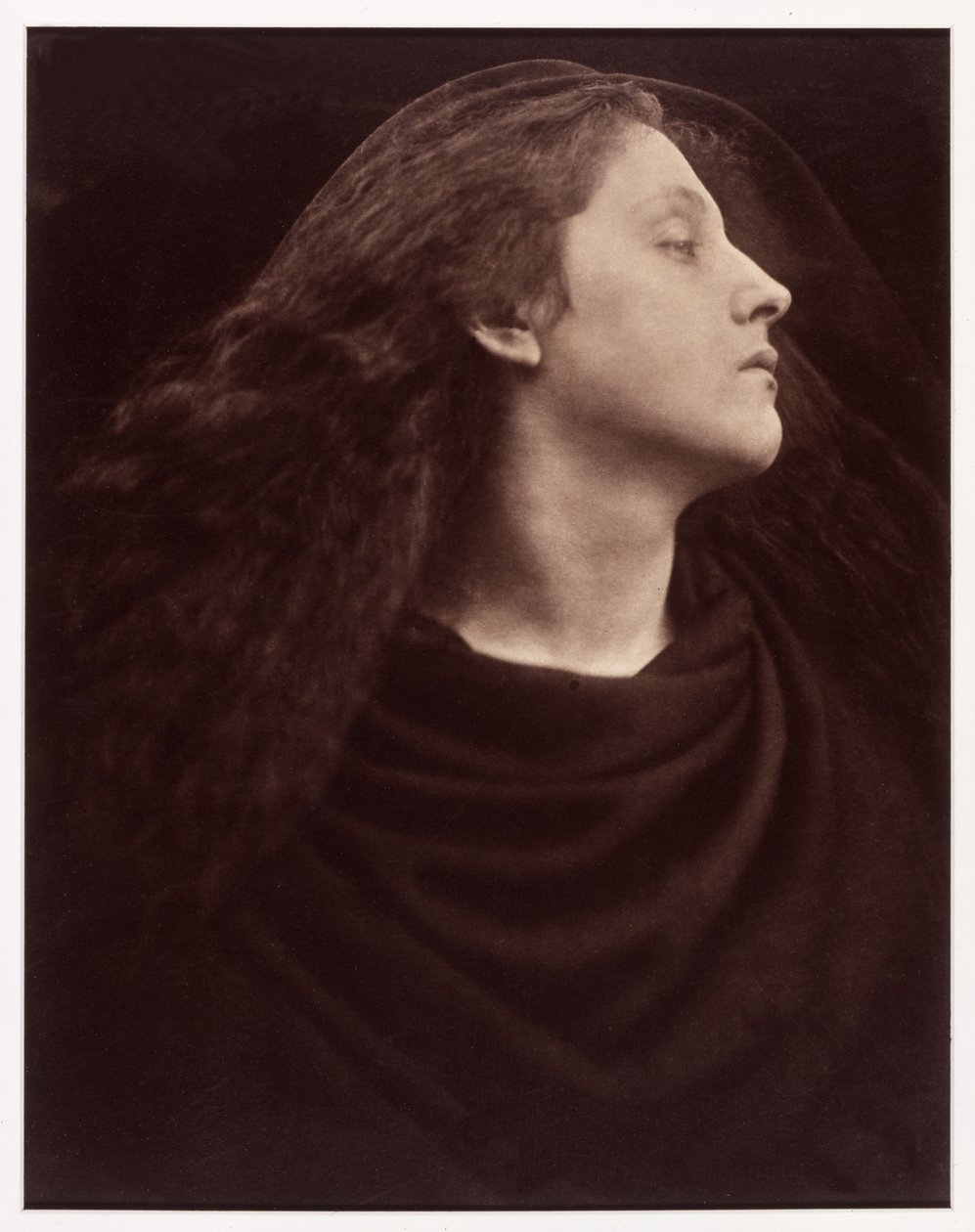 Call, I Follow, I Follow, Let Me Die! by Julia Margaret Cameron
