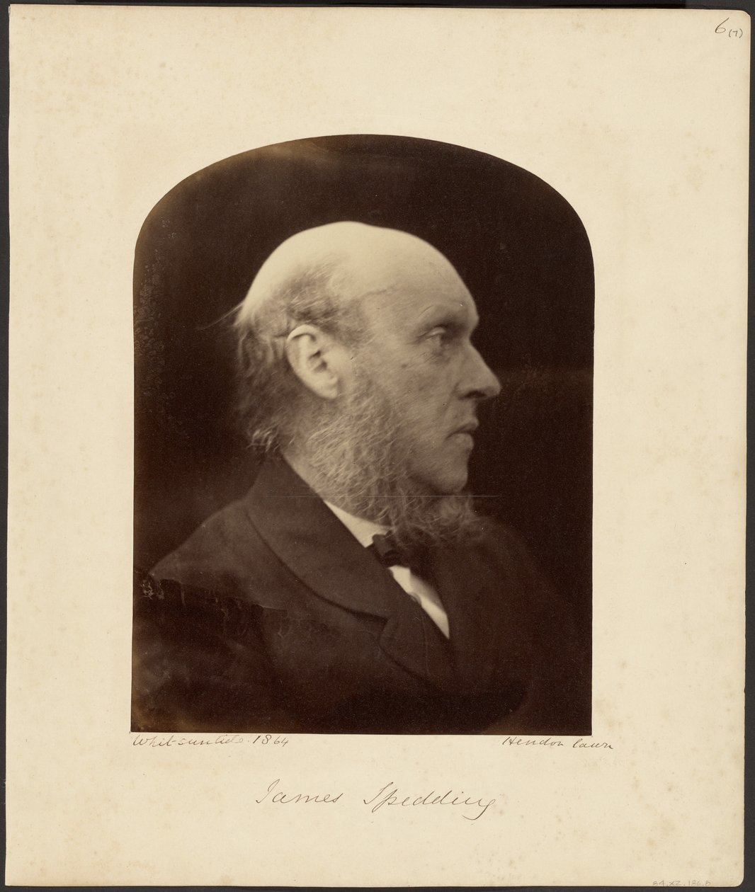 James Spedding by Julia Margaret Cameron
