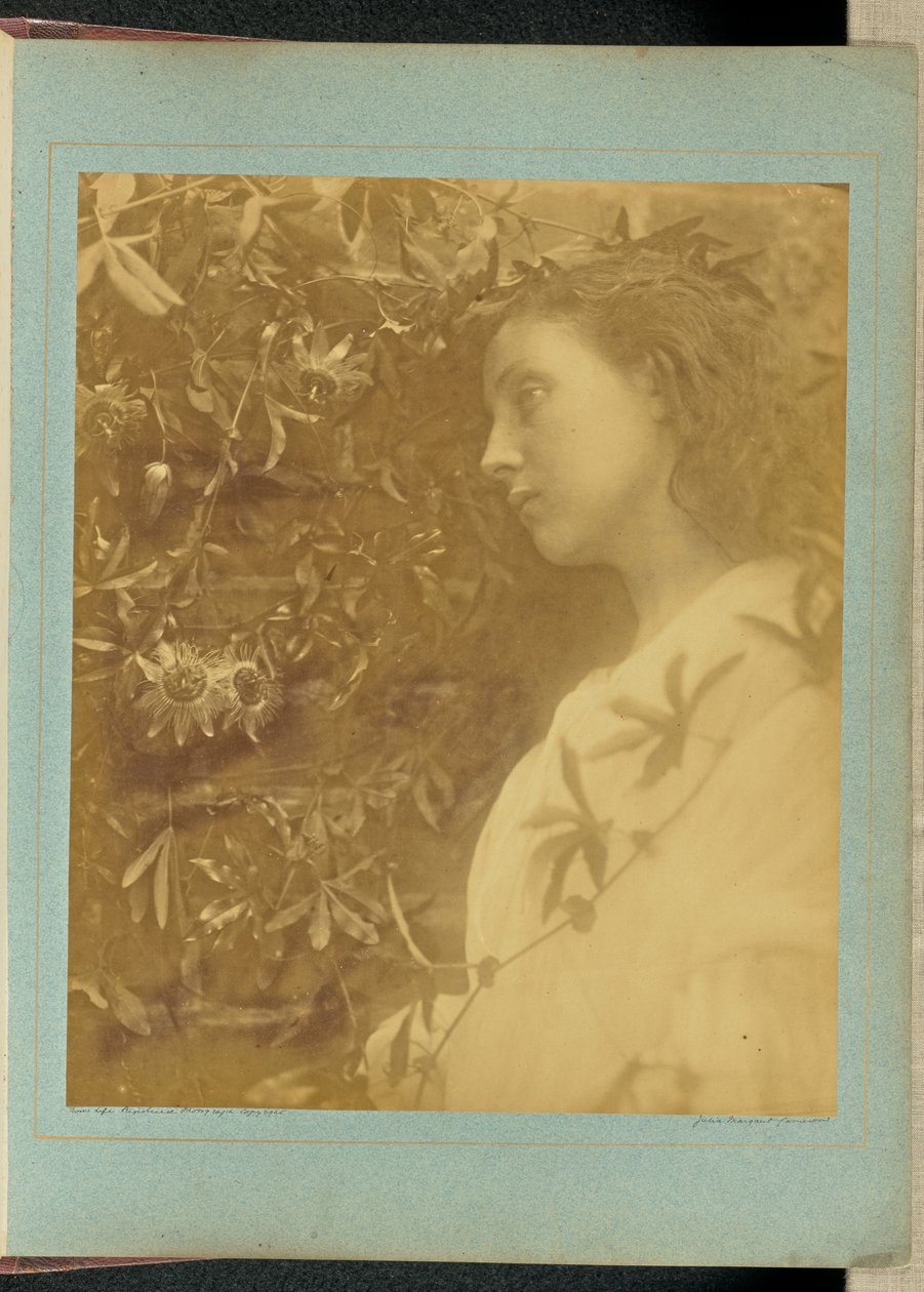 Maud "There has fallen a splendid tear" / "From the passion flower at the gate." by Julia Margaret Cameron