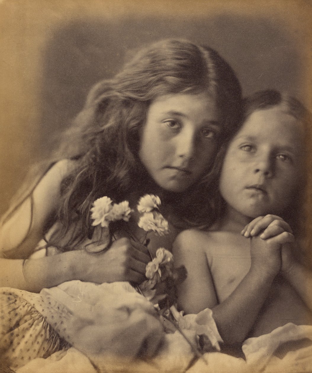 The Red and White Roses by Julia Margaret Cameron