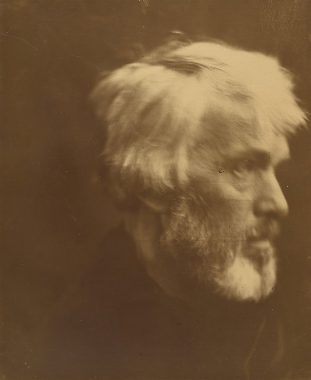 Thomas Carlyle by Julia Margaret Cameron