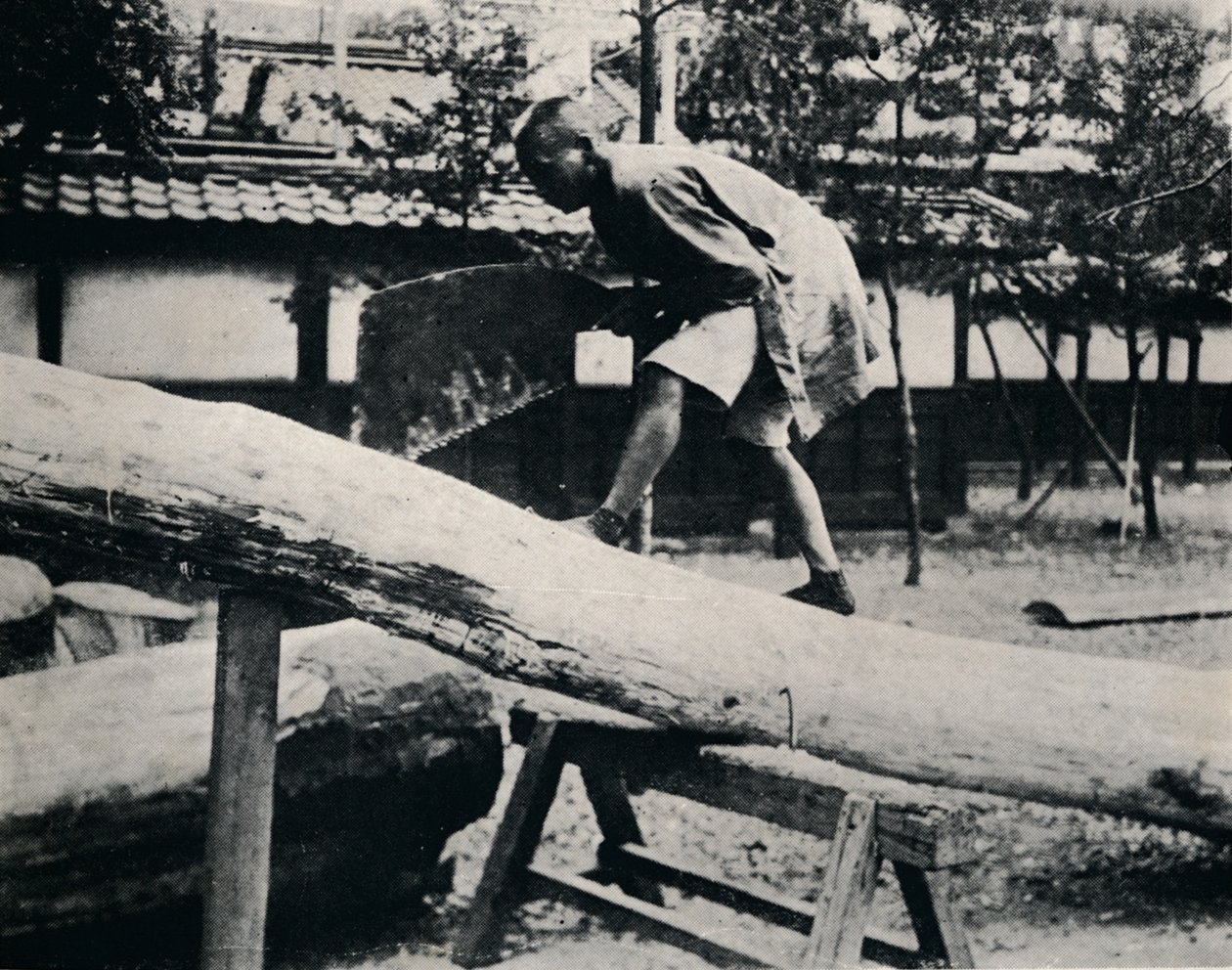 Sawing and Planing are Made with a Pulling Instead of a Driving Motion by Julian Leonard Street
