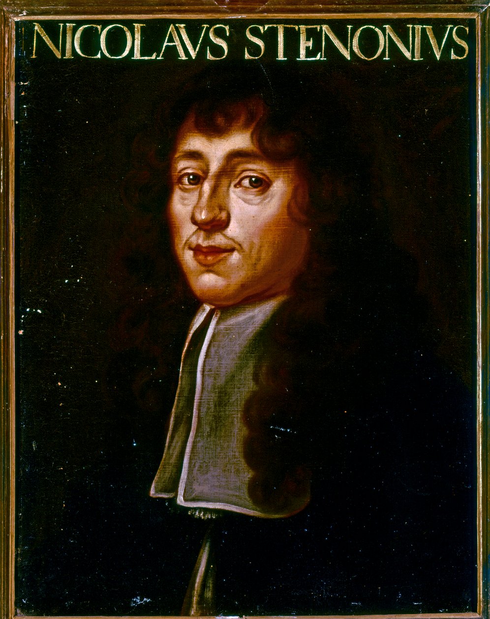 Portrait of Nicolas Steno by Justus Sustermans