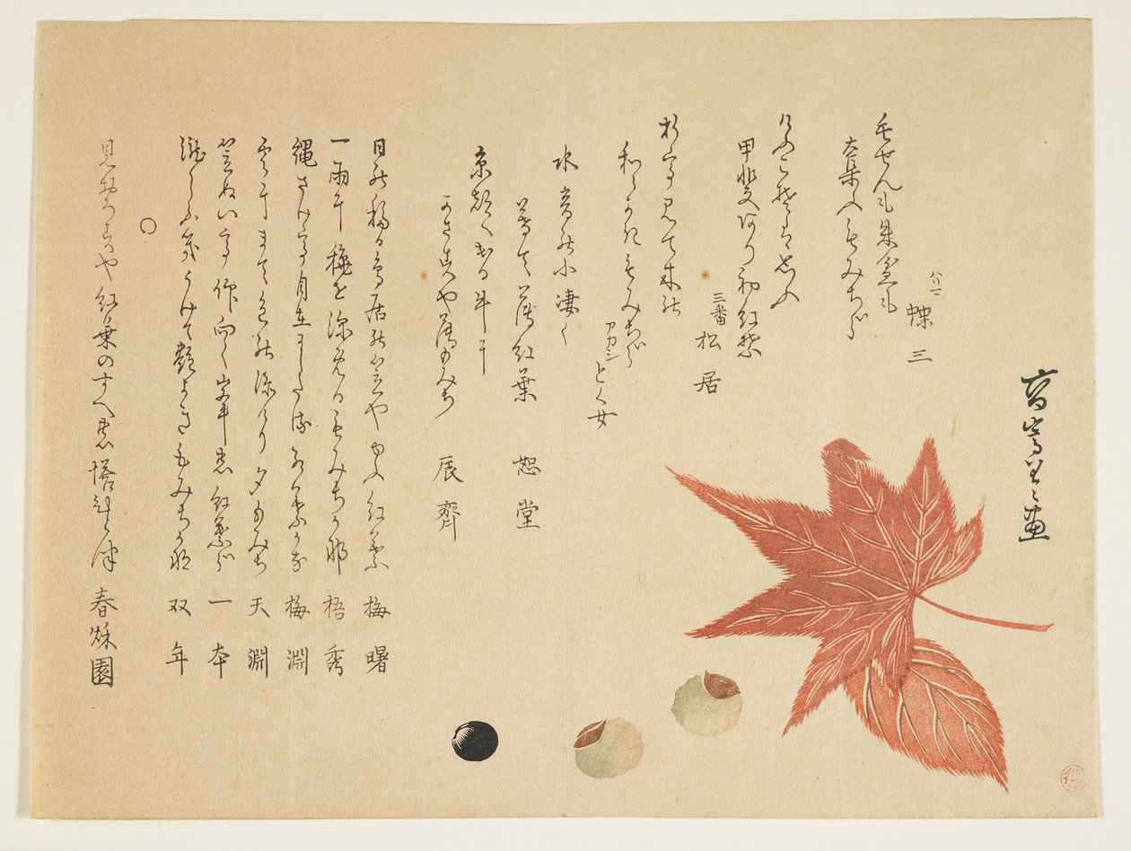 Autumn Leaves and Nuts by K II Skoku