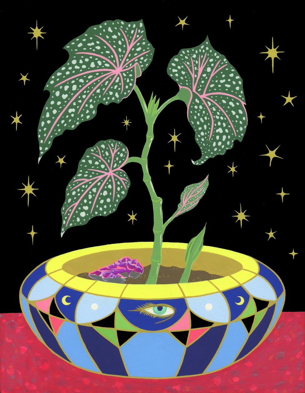 Begonia in a Pot by Kam Tsz