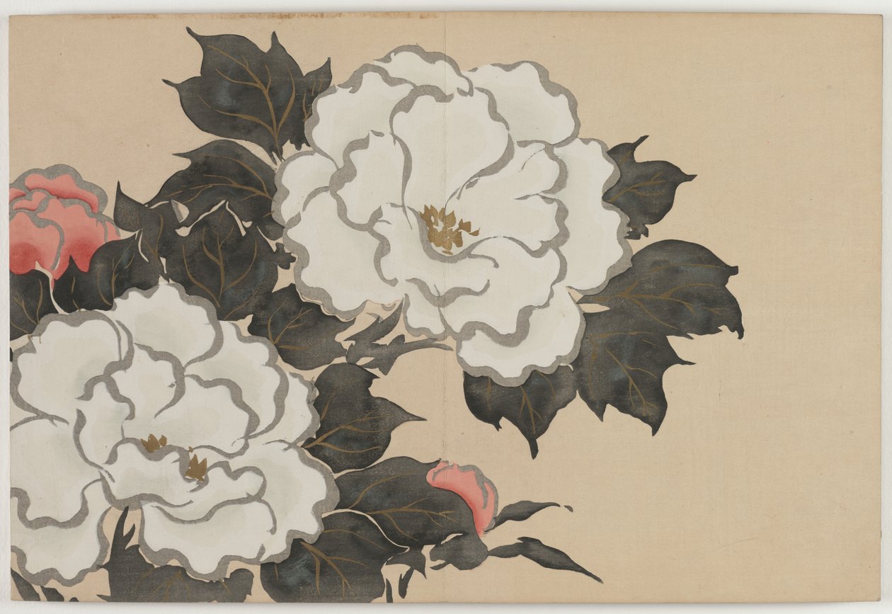 Flowers of a Hundred Worlds (Momoyogusa): Peonies by Kamisaka Sekka