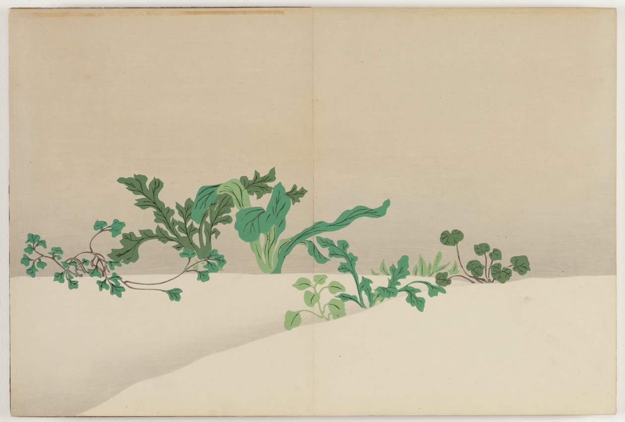 Flowers of a Hundred Worlds: Seven Herbs of Early Spring by Kamisaka Sekka