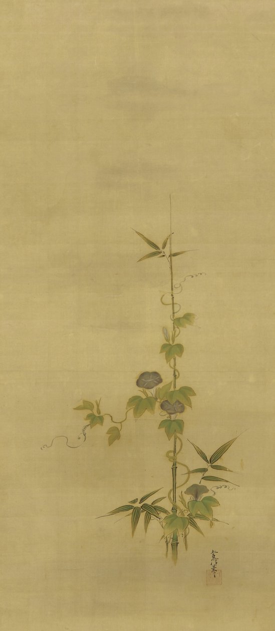Bamboo and morning glories, Edo period, mid 17th-early 18th century by Kano Tsunenobu