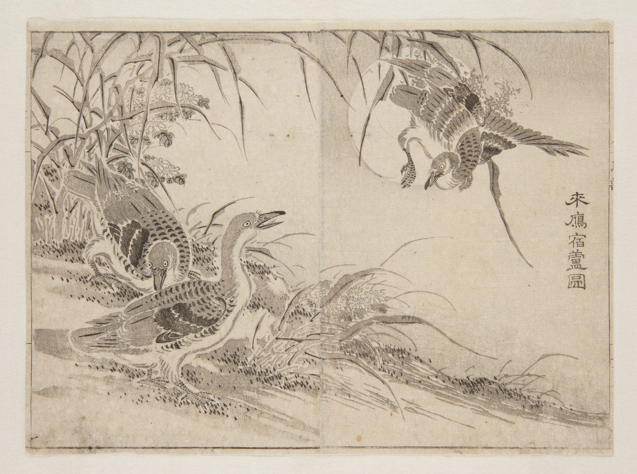 Geese living in Reeds by Kanyosai Kanyosai
