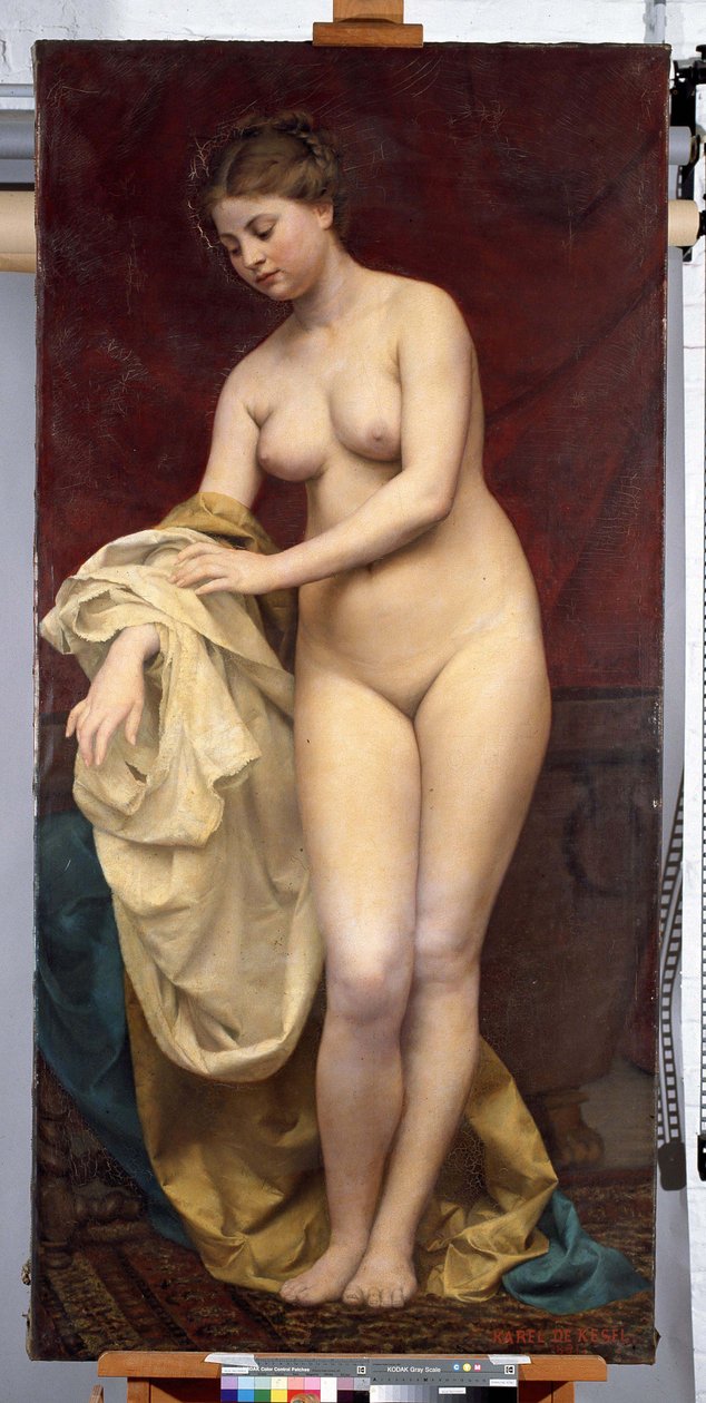 Bathing Woman by Karel De Kesel