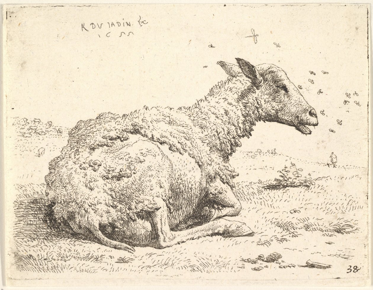 Partially Shorn Sheep Lying in the Grass with Insects Hovering Around Its Head by Karel Du Jardin