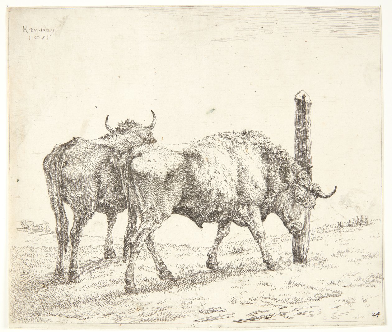 The Two Oxen by Karel Du Jardin