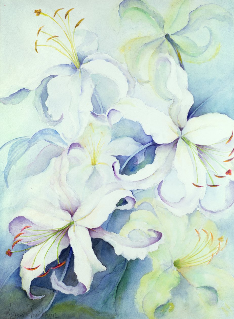 Lilium, Imperial Gold by Karen Armitage