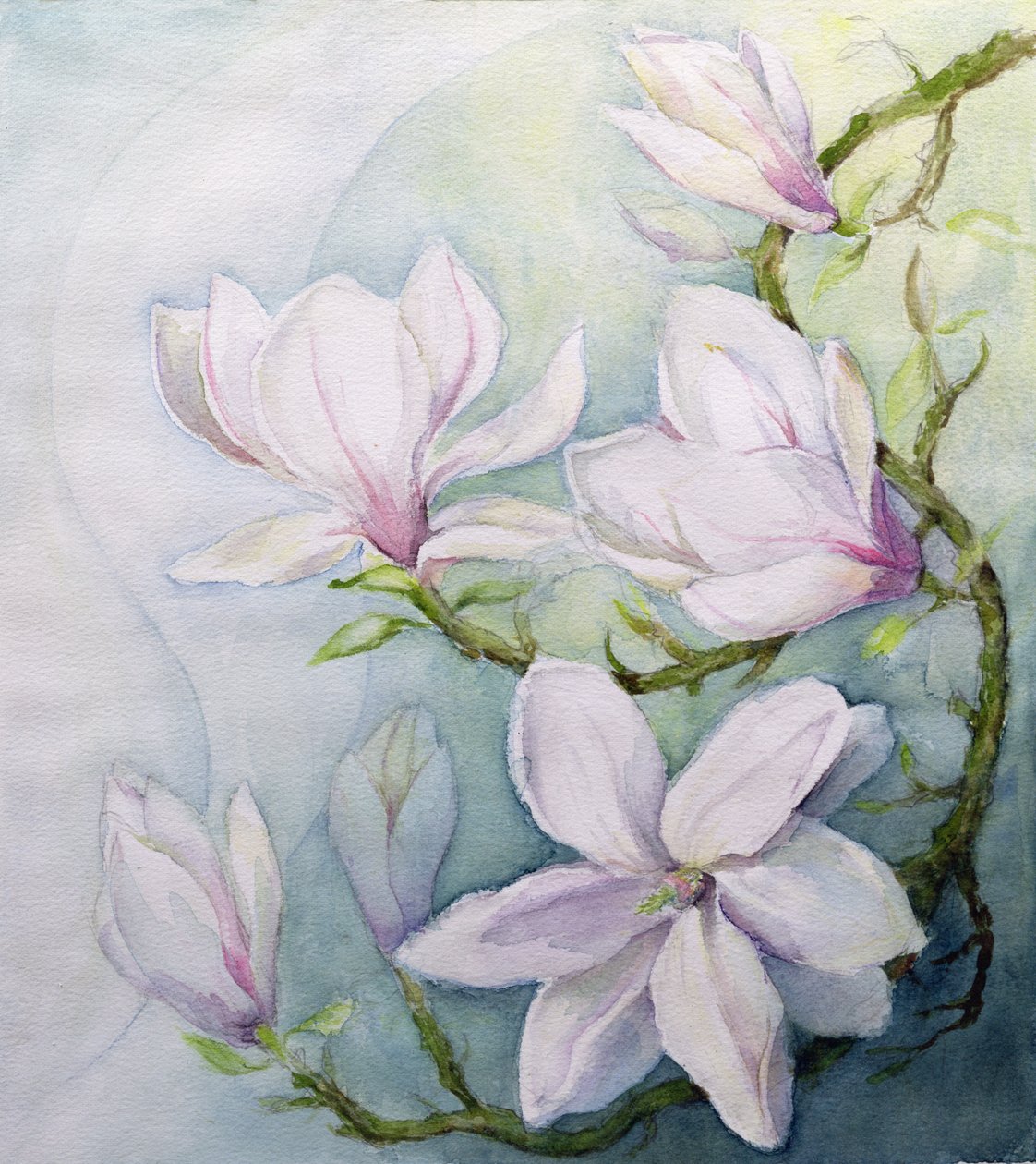 Magnolias by Karen Armitage